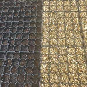 various stone chippings under mesh