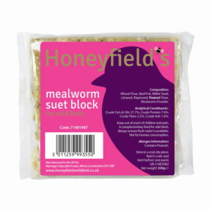 Mealworm Suet Block Treat for wild birds