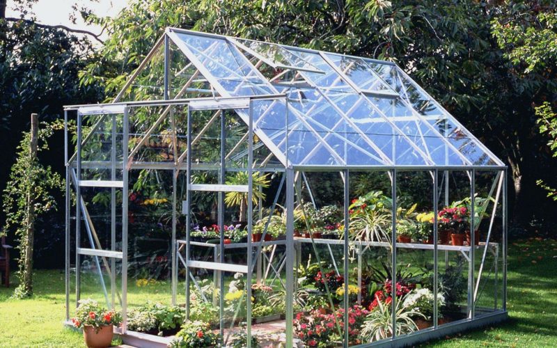 Greenhouse filled of flowers